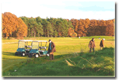 Der Golfplatz